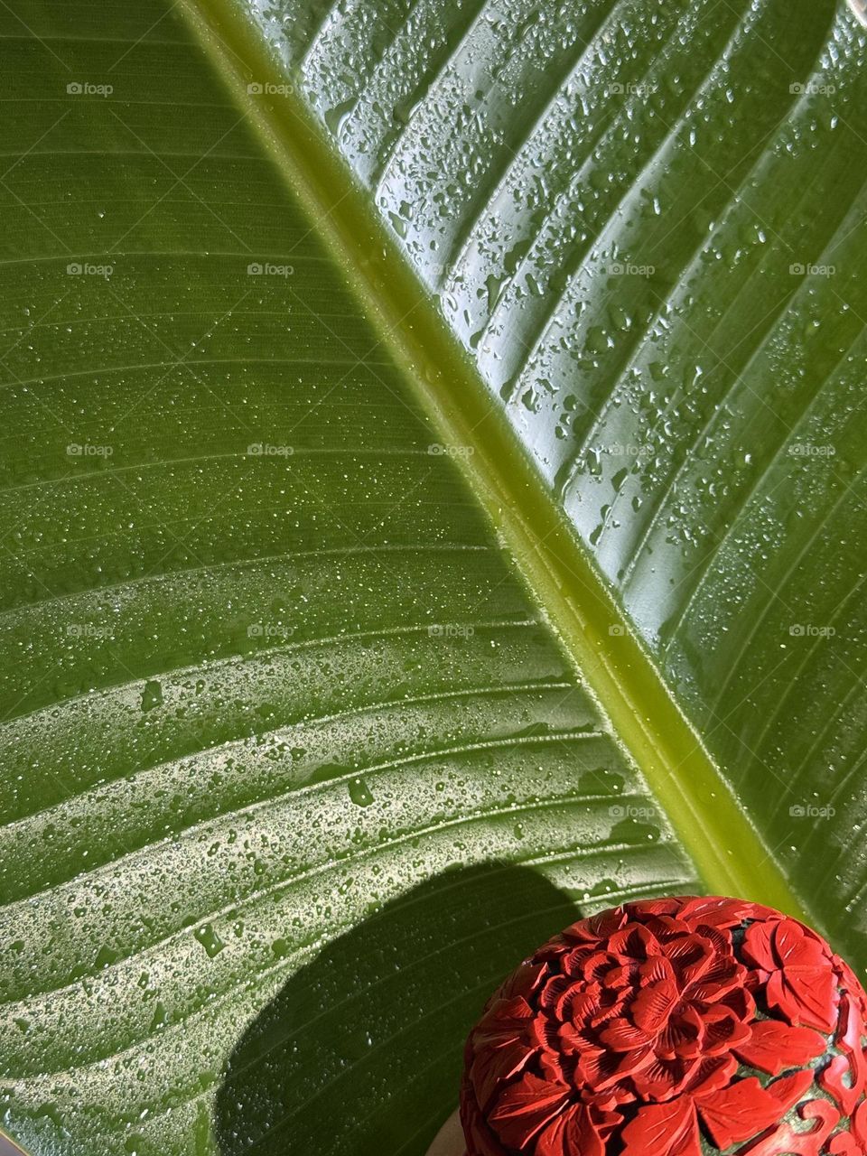 Round red lacquerware box with carved peony design with bird of paradise leaf in background 