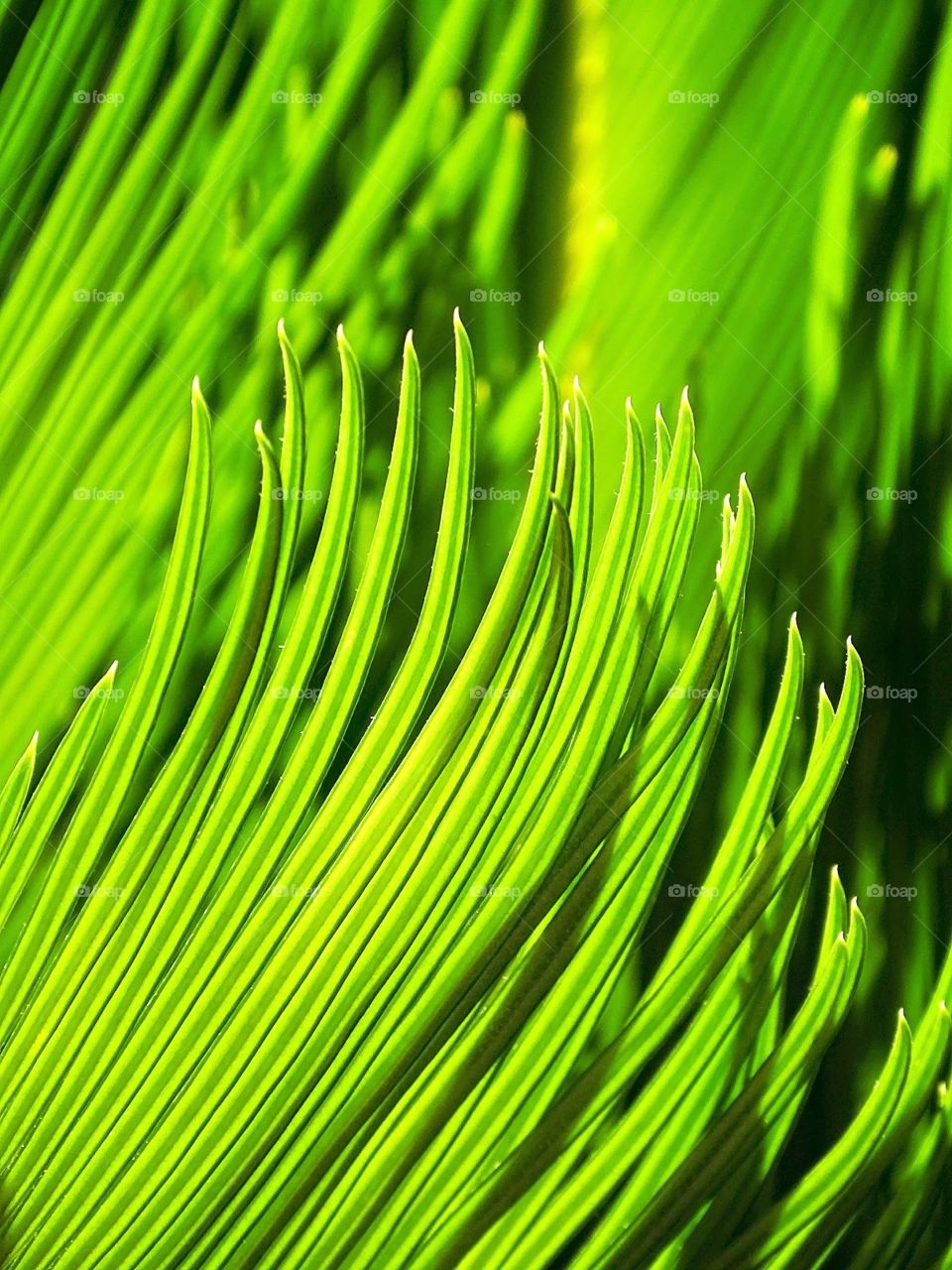 The best of photography