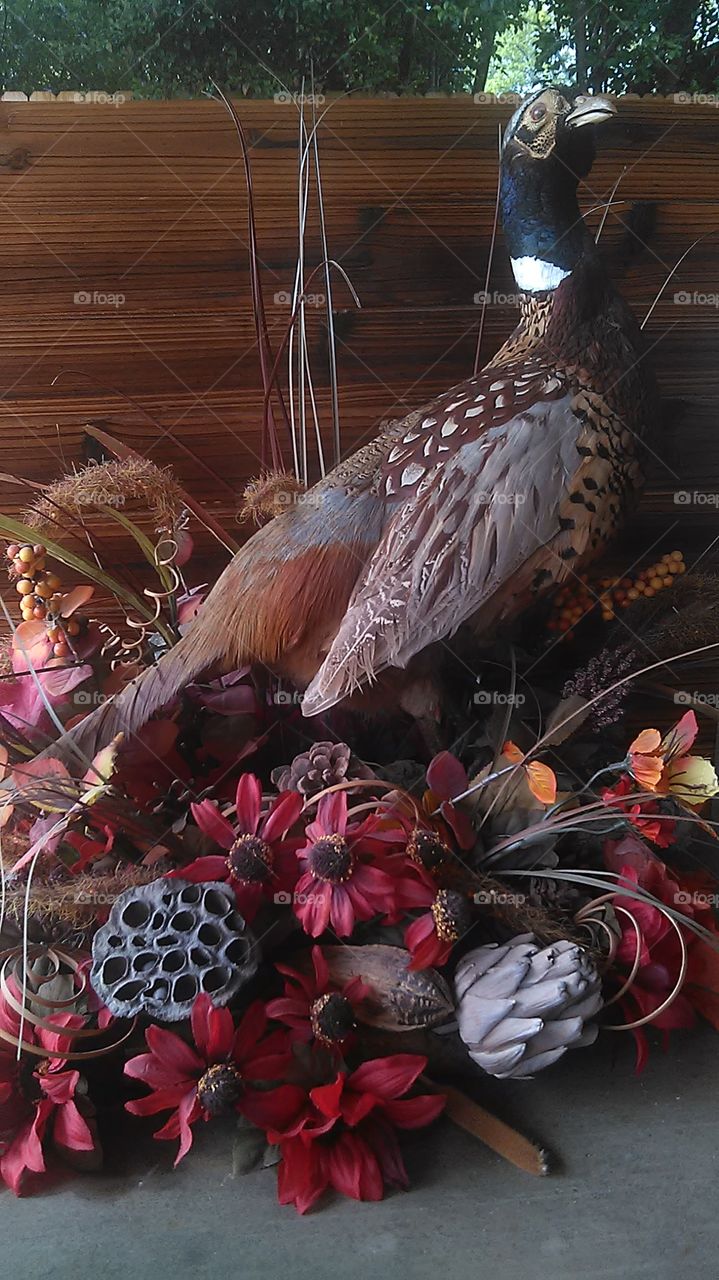 bird was real. my dad shot and stuffed this pheasant