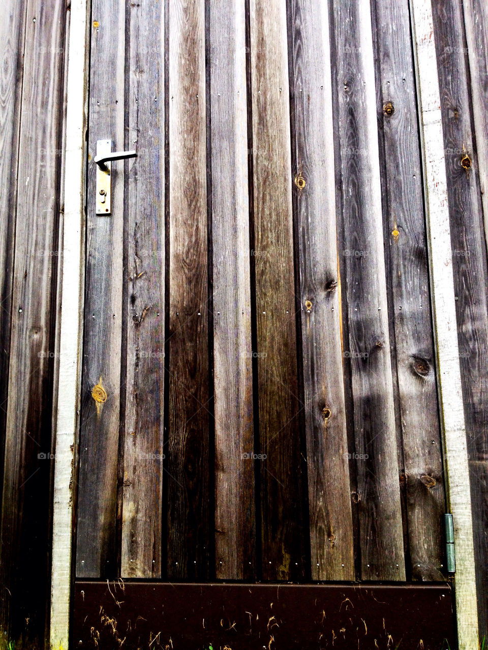 wood tree vintage door by pellepelle