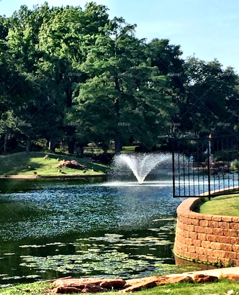 Beautiful Pond in the Park