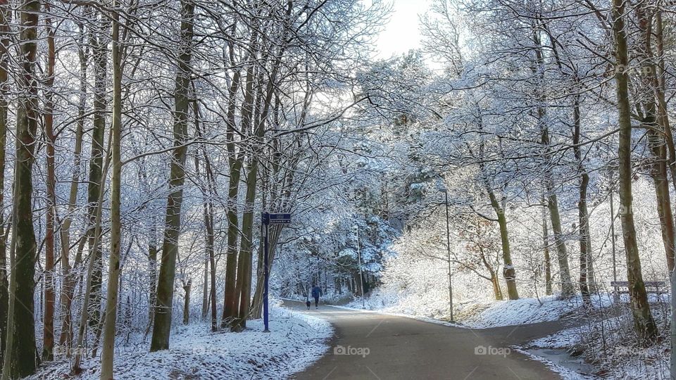 Walking in winter forrest