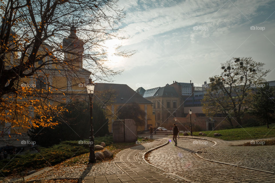 Autumn morning in Poznań City