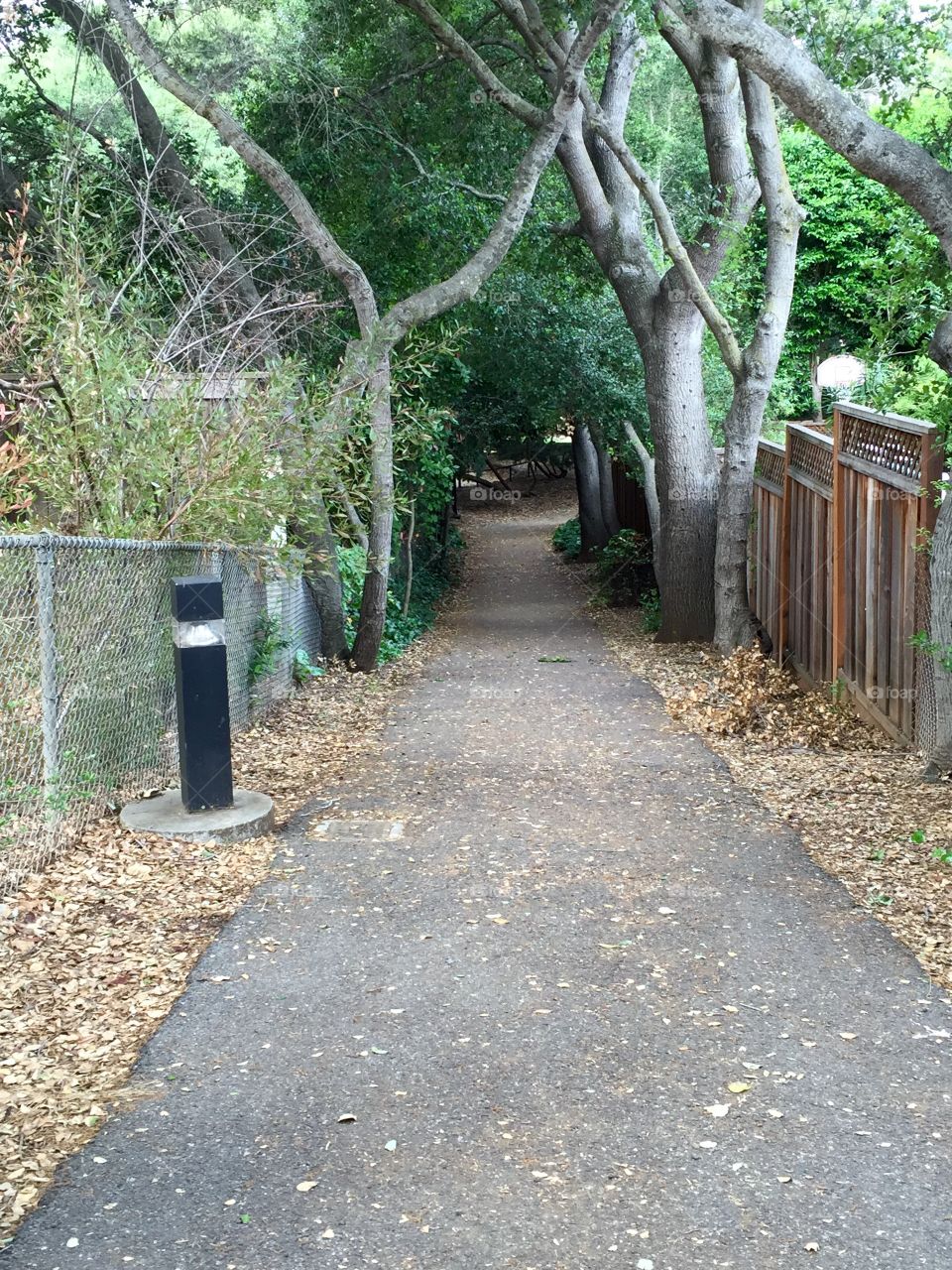 Pathway