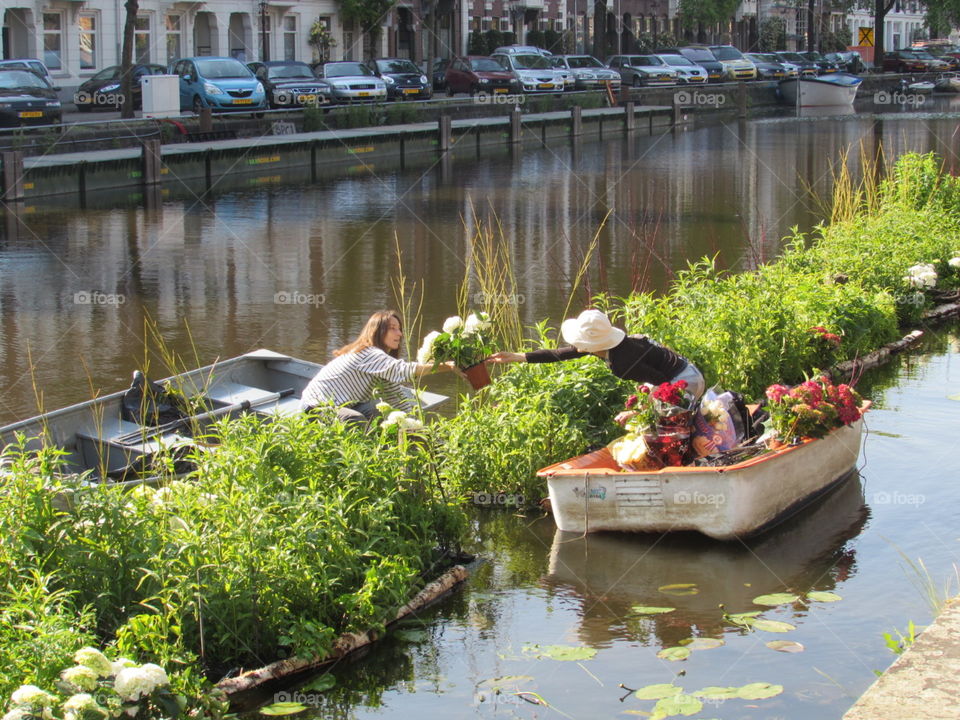 Flowers in Netherlands