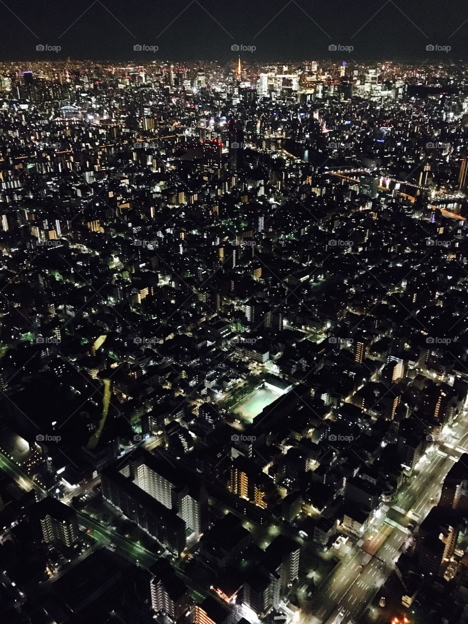 View from 450 meters above Tokyo. That orange building in the distance is Tokyo tower. Beautiful cityscape. 