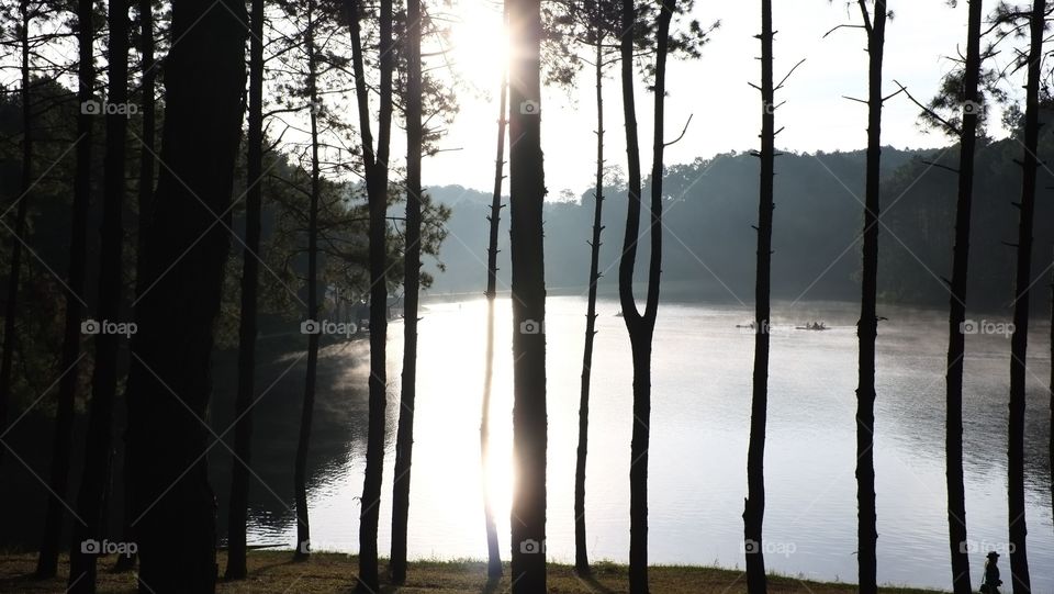 Father's Park ... Pang Ung