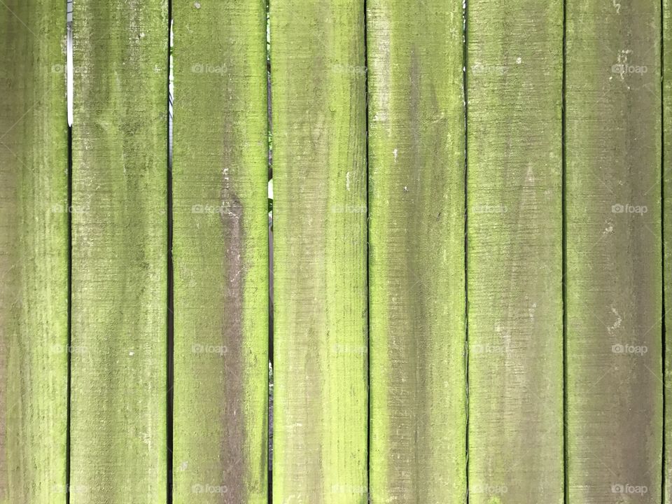 Close-up of wooden fence