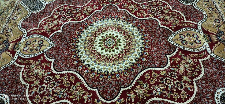 Typical Carpets used in Kashmiri Rooms as Furnishing & having wonderful Art work done... 
These Carpets are usually of forgien origin like Iran, Turkey etc