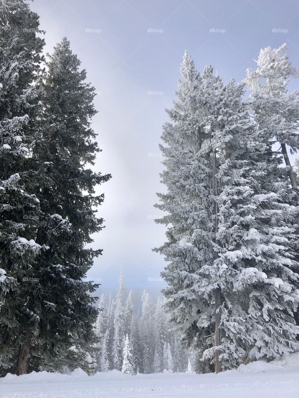 Winter wonderland high up in the mountains. 
