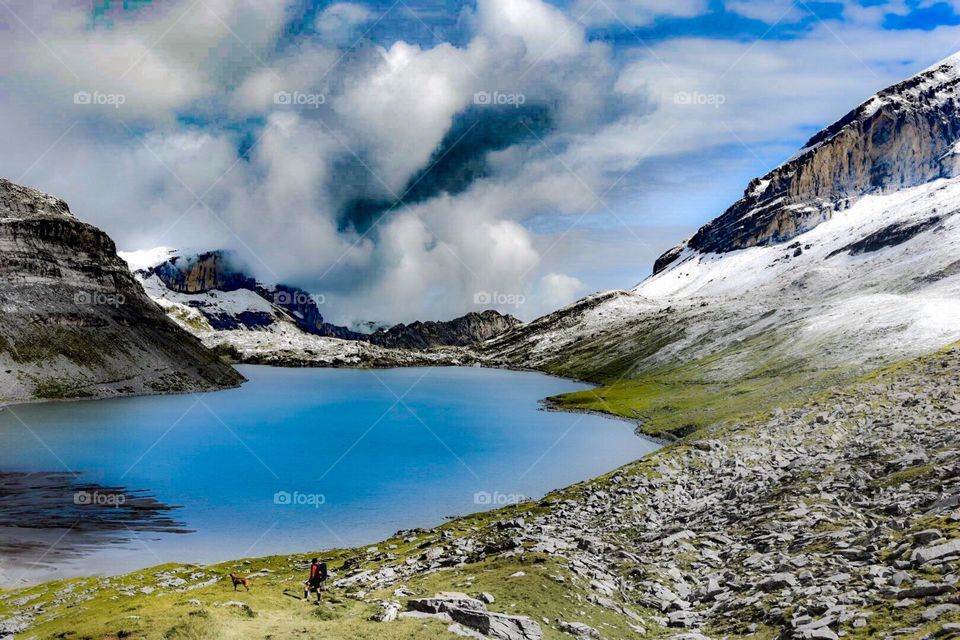 mountain landscape in summer with hiker and dog in front