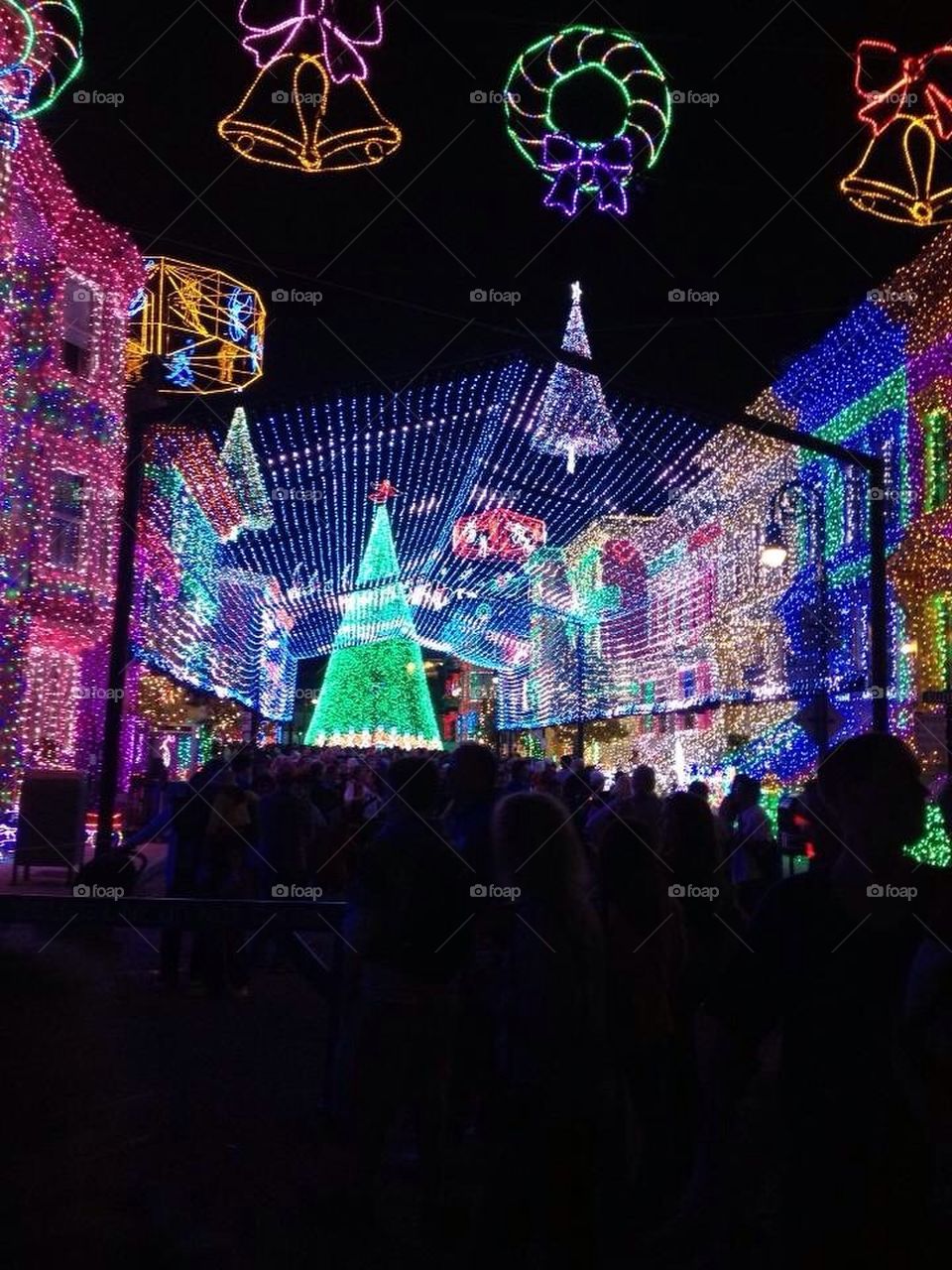 Osborne Lights, Disney World