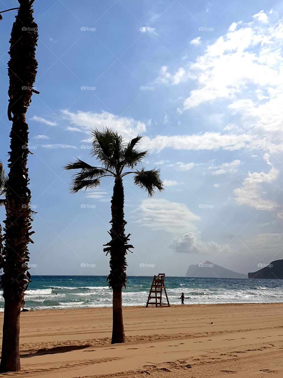 Beach#palm#human#sand#sea#sky#surf