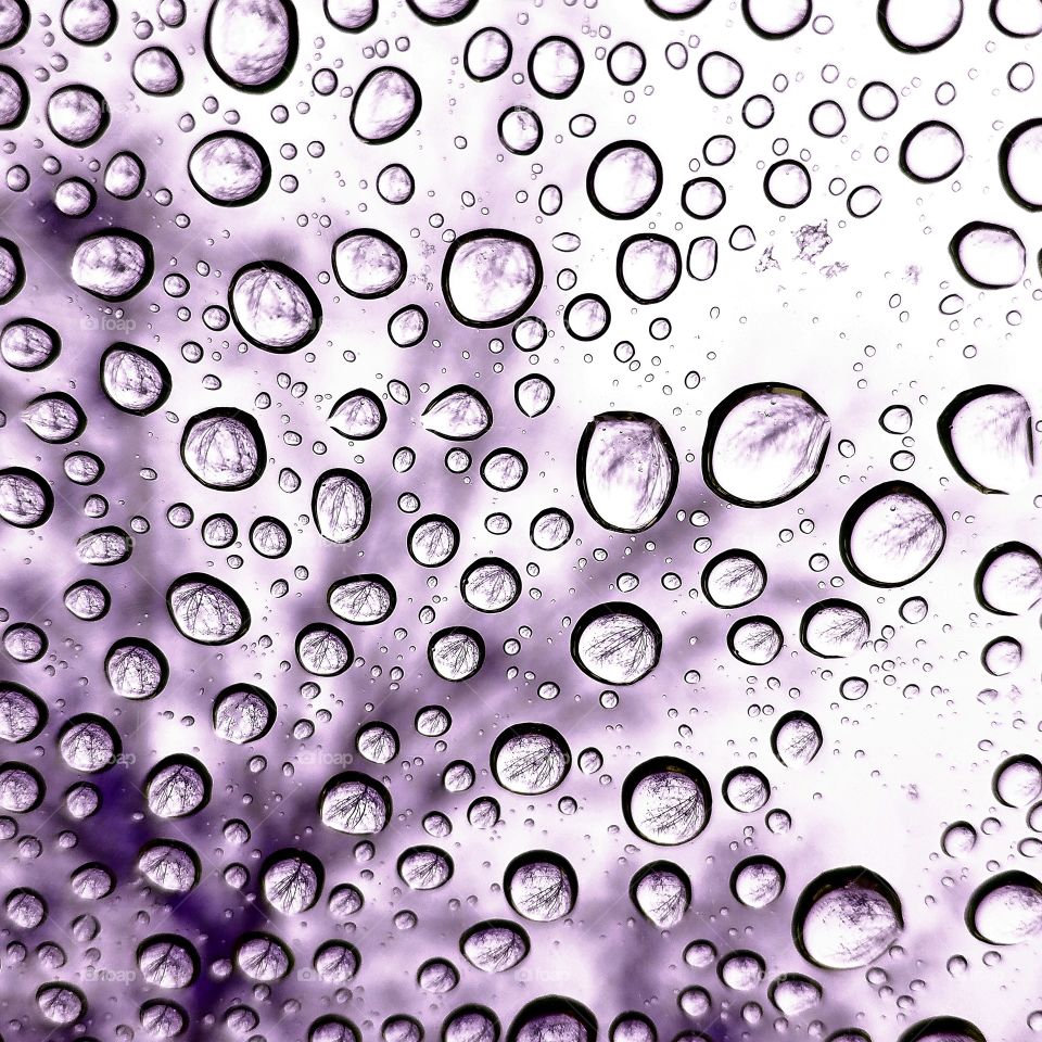 Snowflake or Snowdrop Reflections on windshield with a tree way in the background. I changed the color a little bit using a photo editing app!!