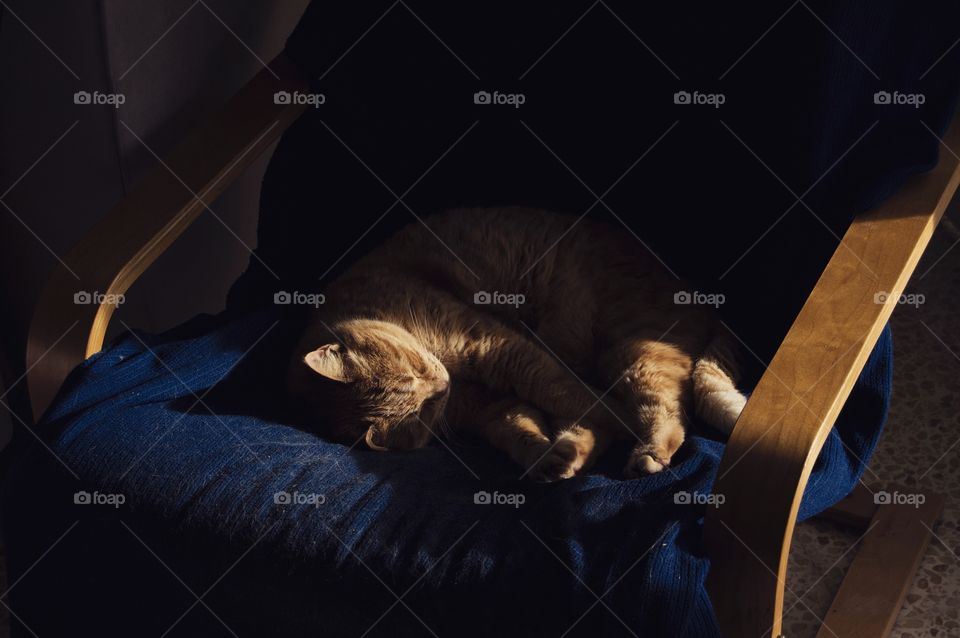 Sleeping garfield struck by a sun ray 🐱 