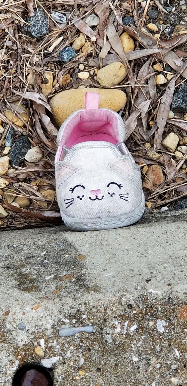 Lost Kitty