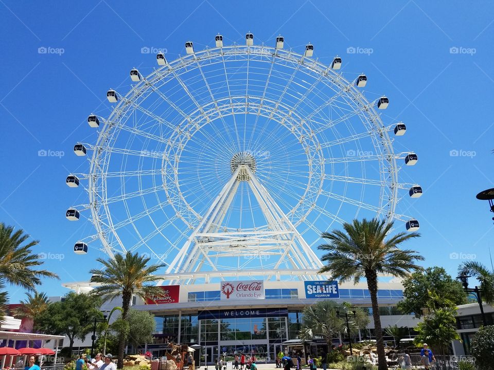 Orlando Eye : Up Close