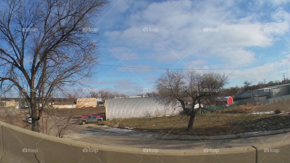 Tree, Winter, Weather, Storm, Landscape