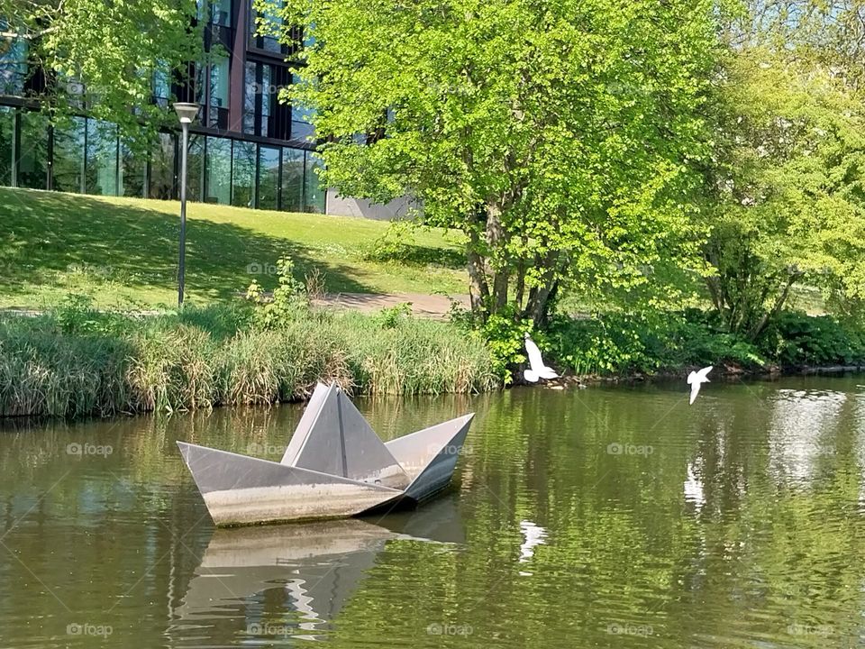 urban nature wildlife