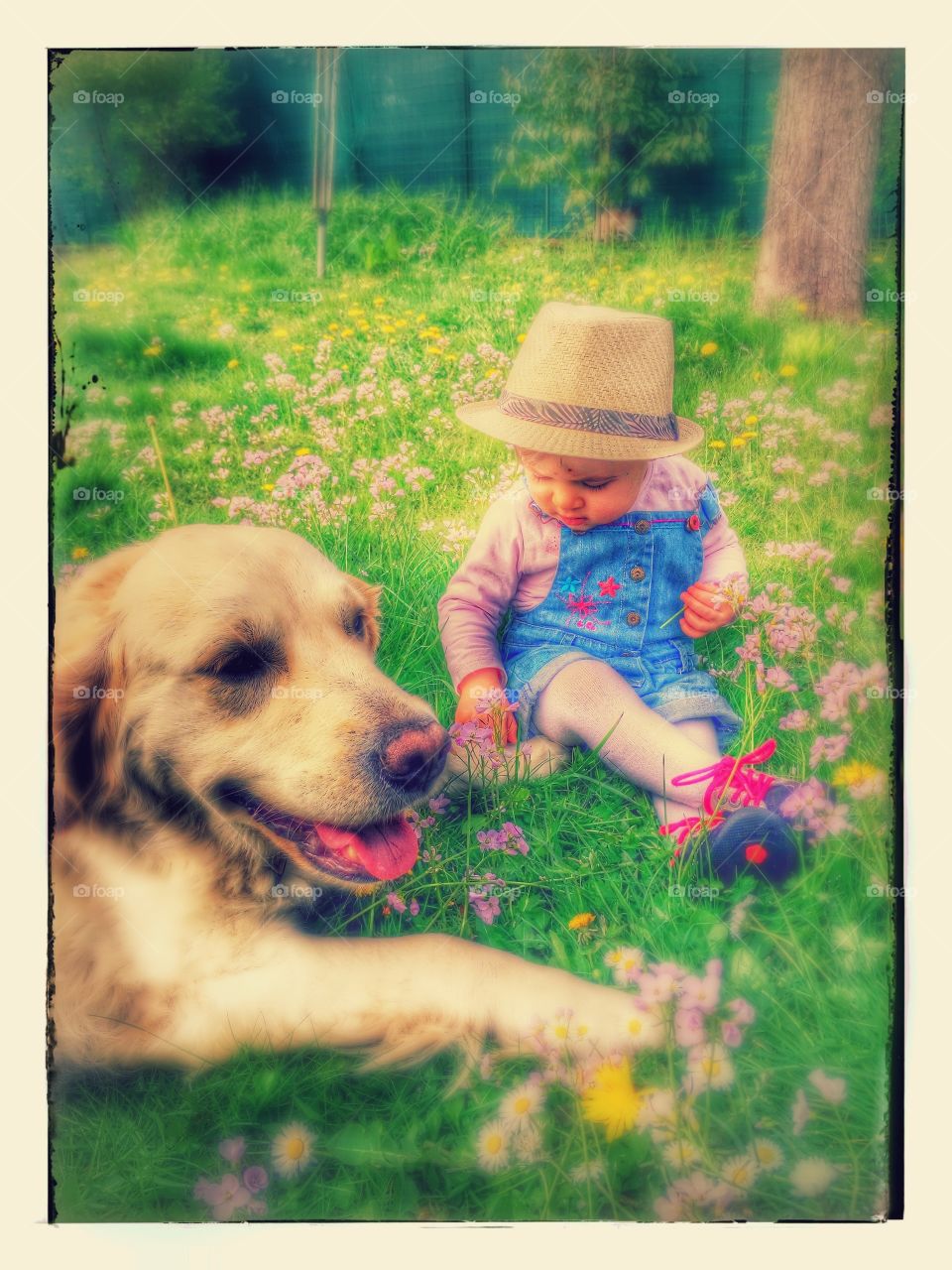 Cute wearing hat and sitting with dog in the grassy field
