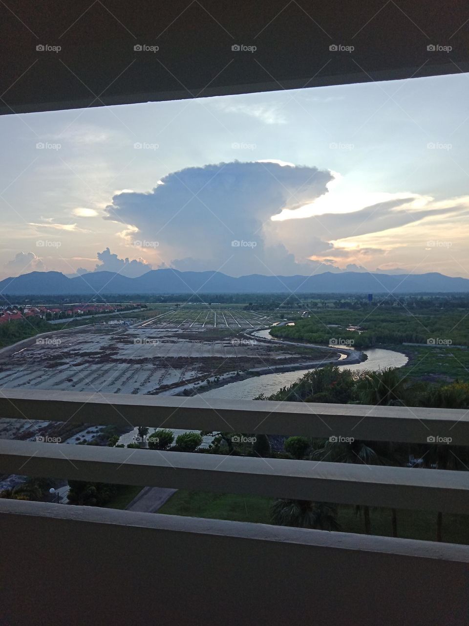 Dog head cloud