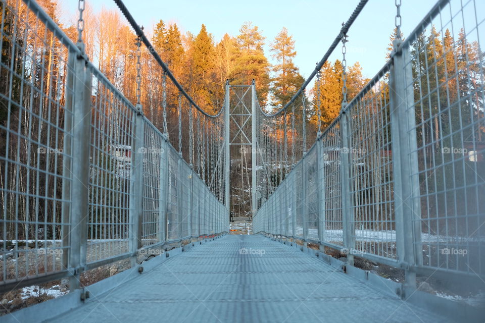 Bridge