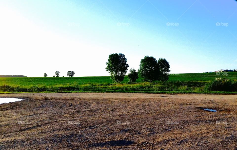 Another day on the farm 