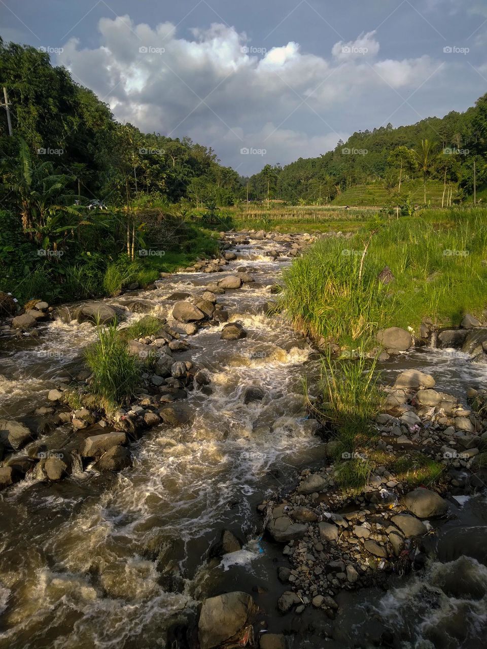 golden hour and beautiful river in east java Indonesia
