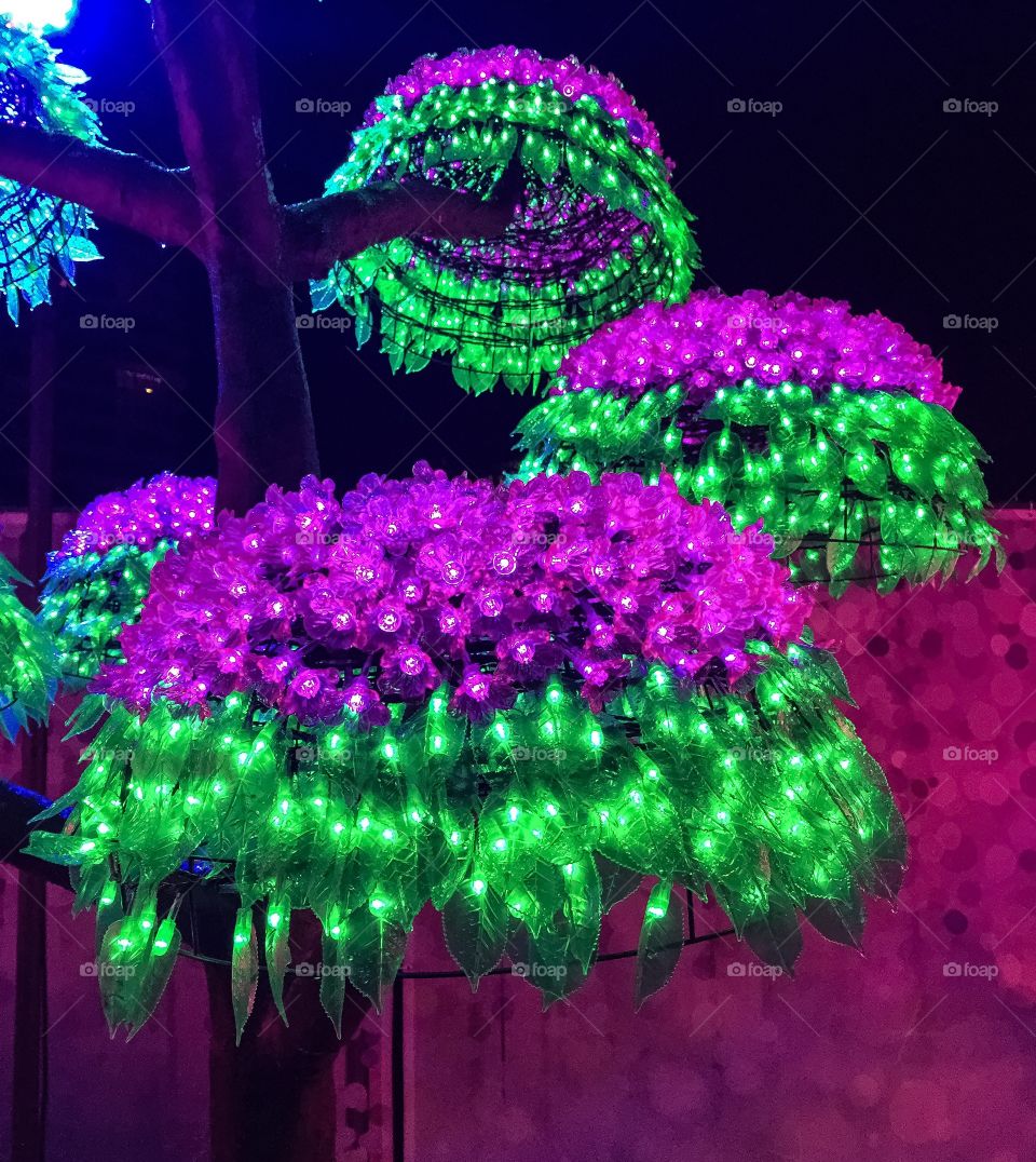Christmas lit flower at aurora winter festival 
