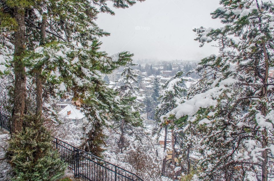 Winter landscape, Velingrad, Bulgaria