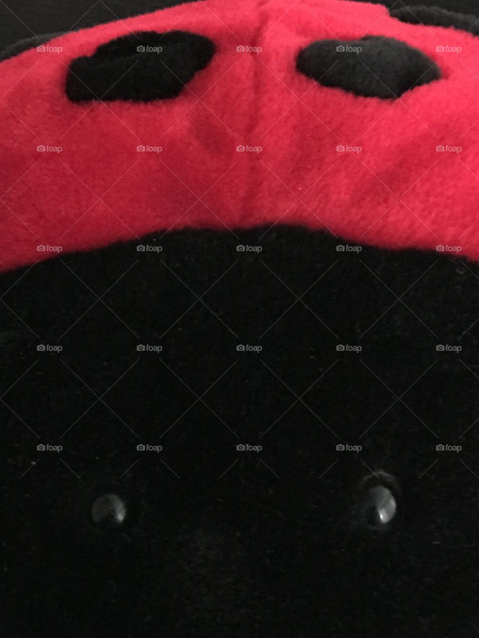 Ladybug plush 