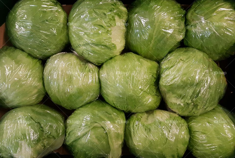 Wrapped iceberg lettuce