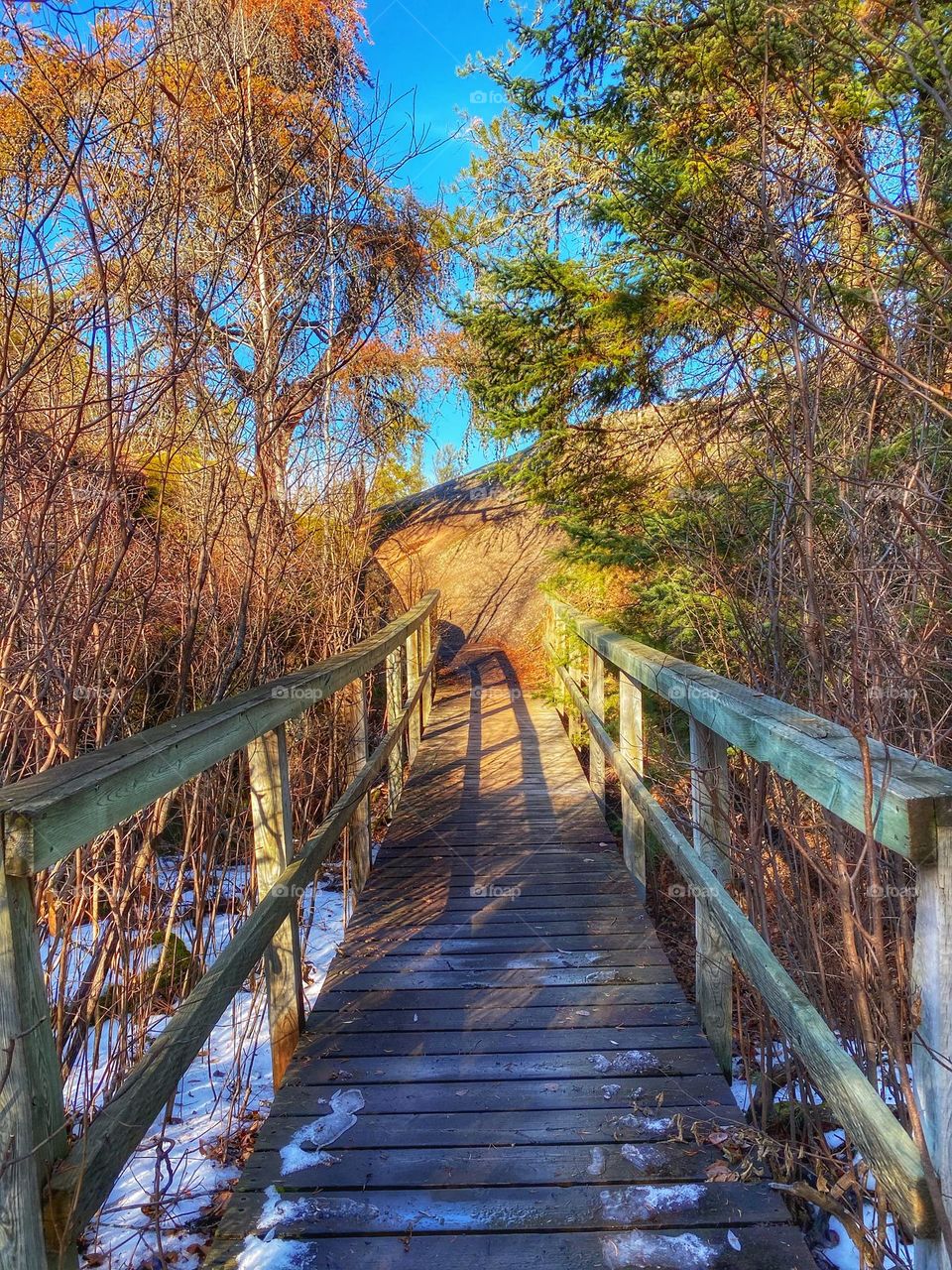 Autumn hike