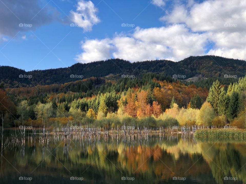 Autumn reflection