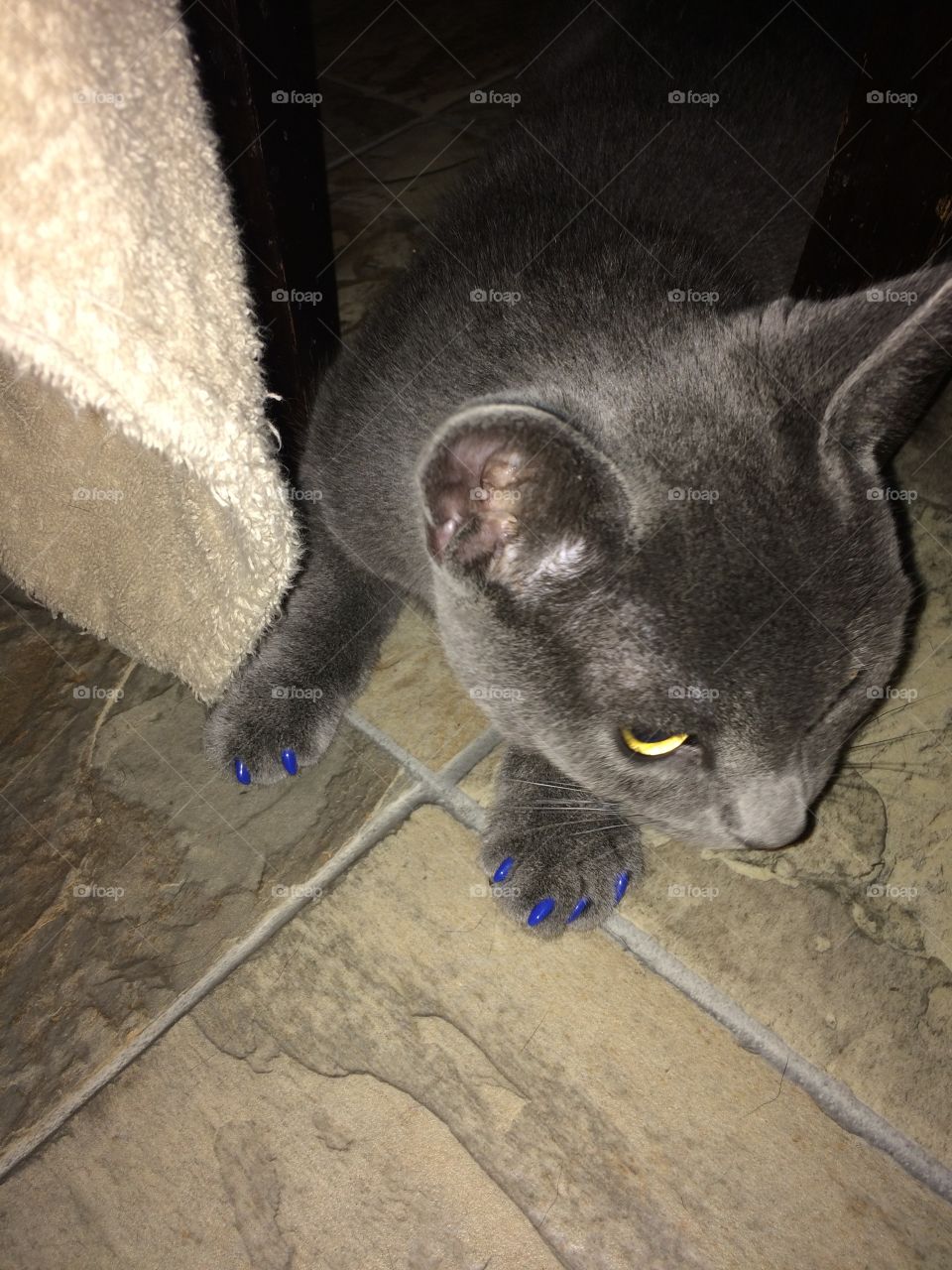 Don't let them see me like this!