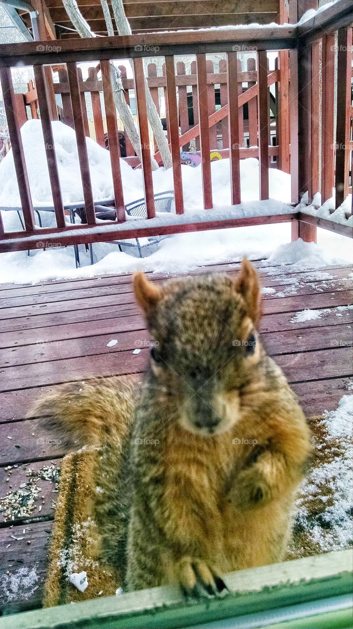 Excuse me, the bird feeder is empty.