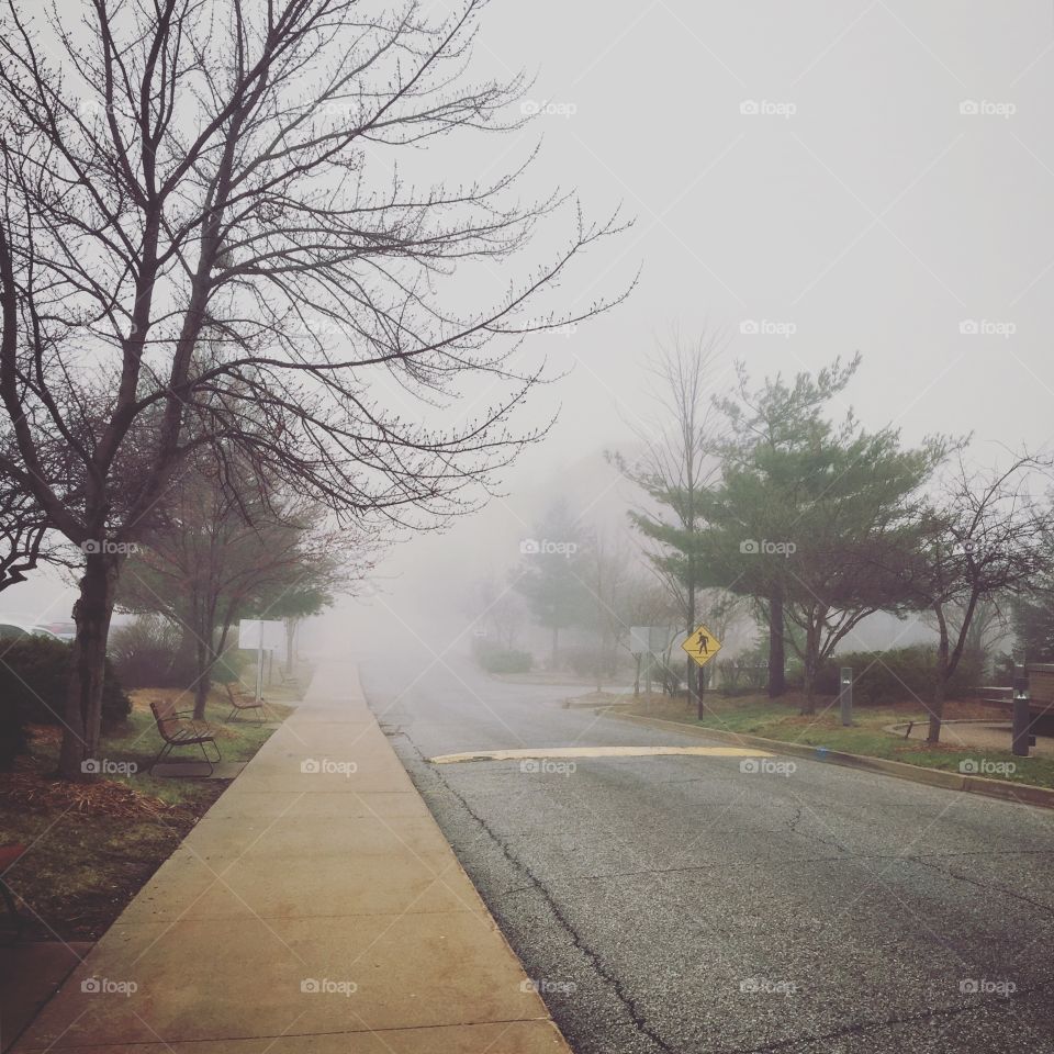 Foggy day at AT Still University in Kirksville, MO.
