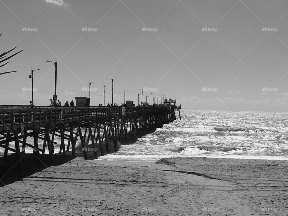 bogue pier