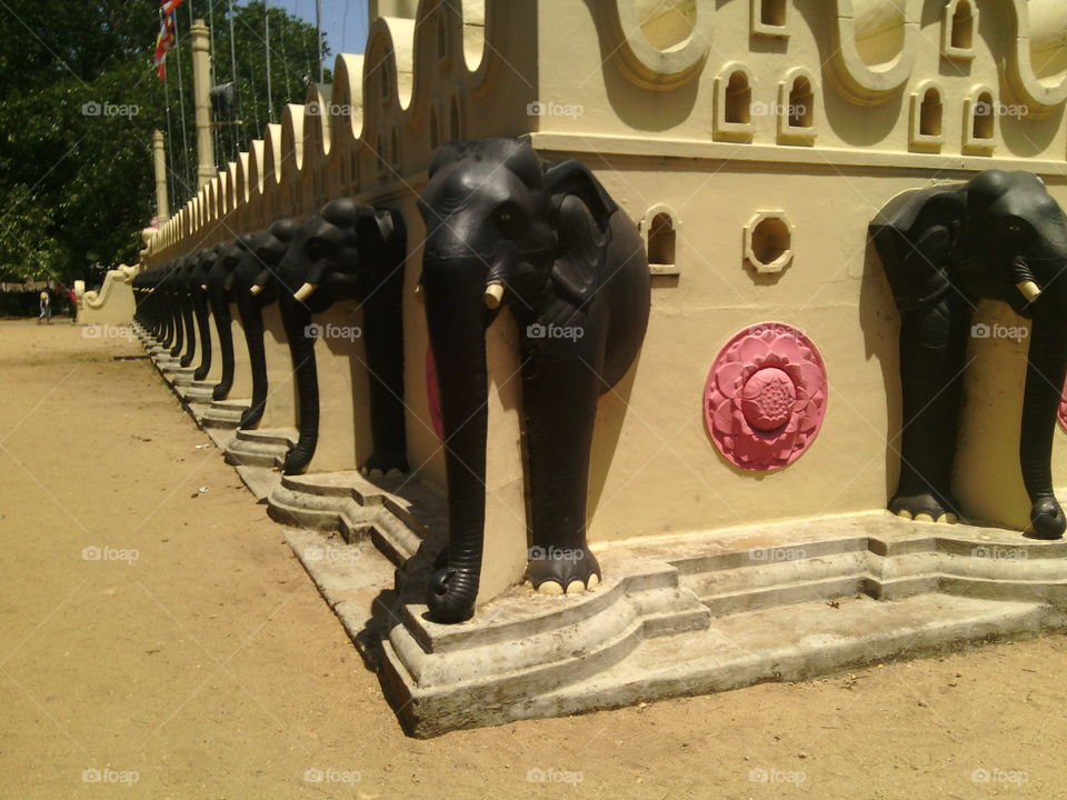 elephant wall
