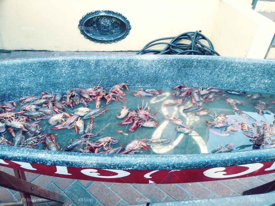 The boat of life and Death