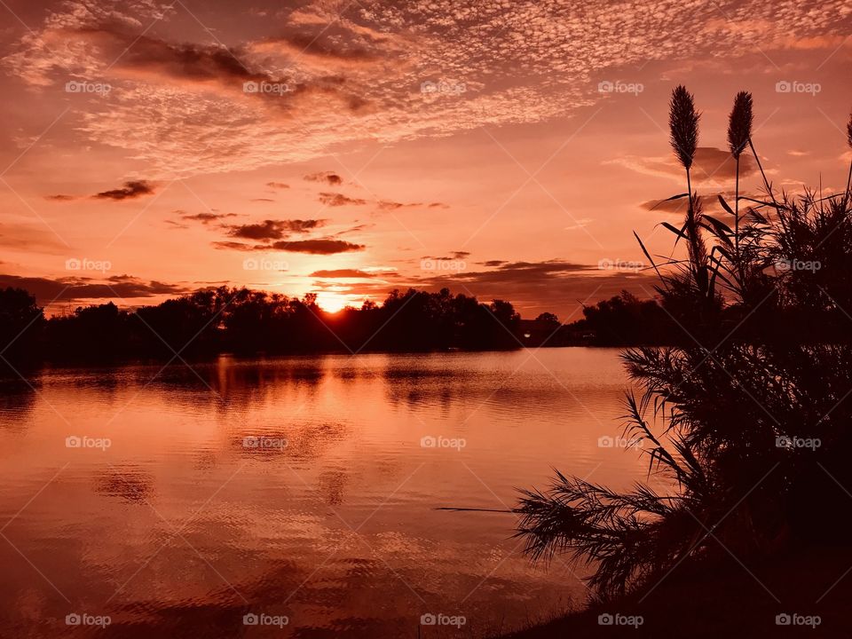 The Copper hues are covering the Sunset glow. The super hot summer sun has toasted the day and now evening sky which will give away to the night. Even the island Cat Tails stand at attention to the night.