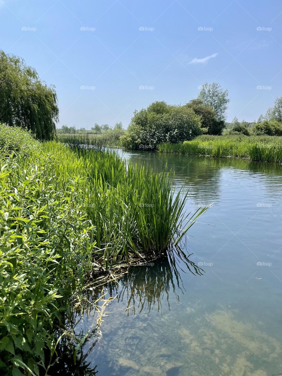 Pit stop on the way back home … beautiful riverbank on a glorious blue sky day 