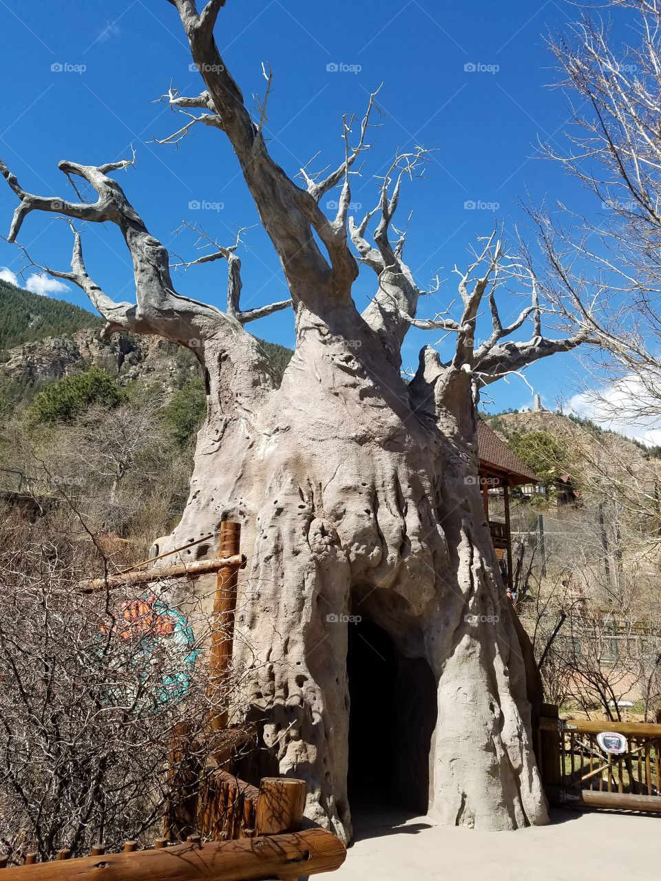 Old Mythical Tree
