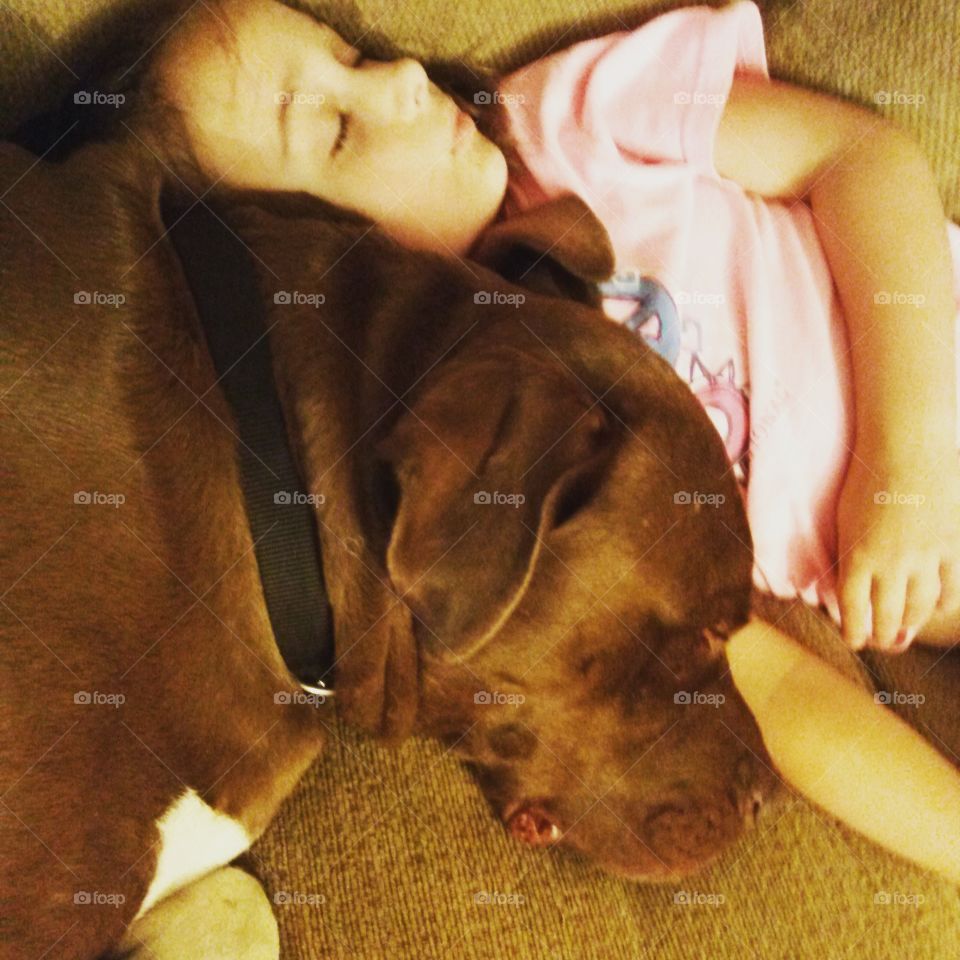 Cuddle Puppy. A little girl and her rescue dog sleeping together, cuddled up.