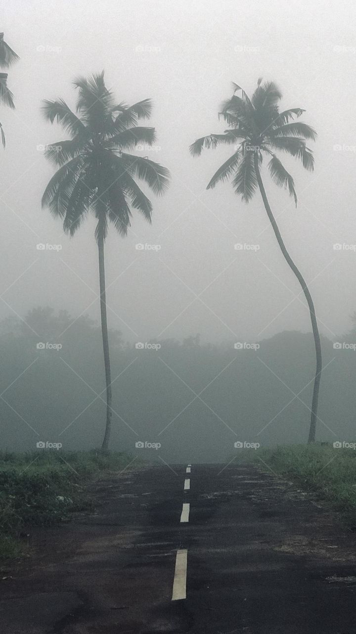 Natural Moody climate