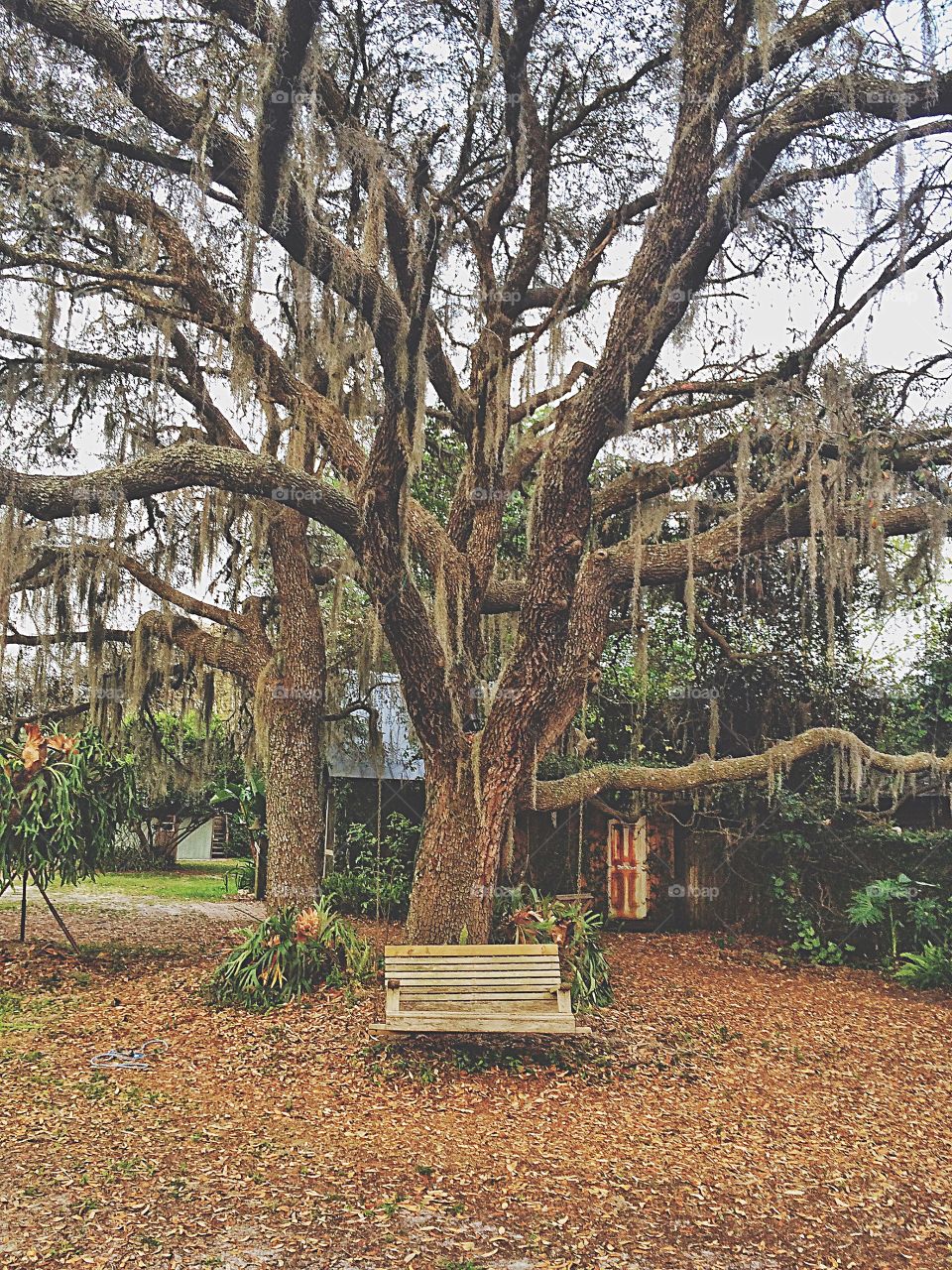 Wallaby Ranch 