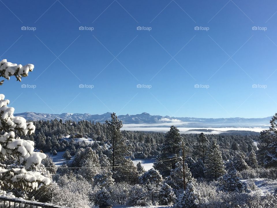 Colorado views