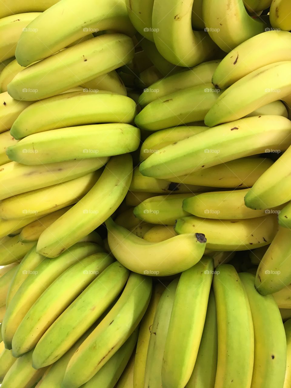 Philipine Banana 