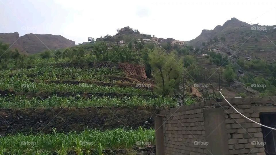 Glory be to God, the magnificent and picturesque view and the natural green trees are a view that is nothing more wonderful than it