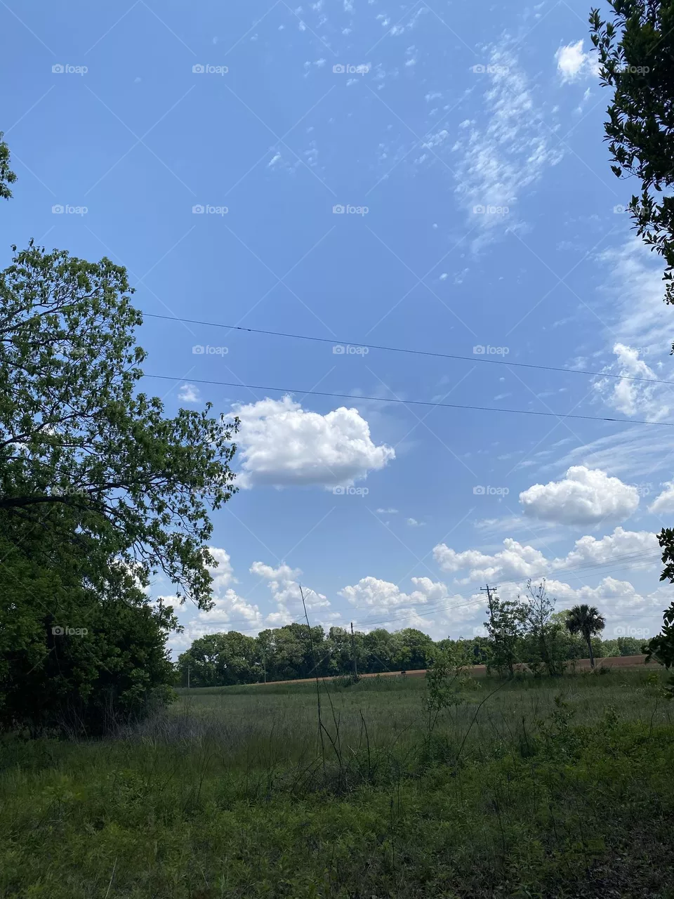 Blue sky 